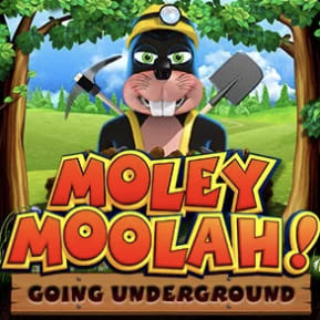Moley Moolah